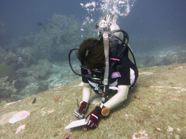 海中で絵の制作