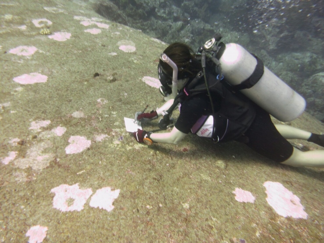 海中で絵の制作