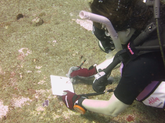 海中で絵の制作